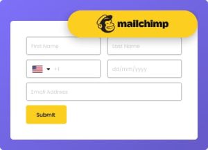 Mailchimp-Subscription