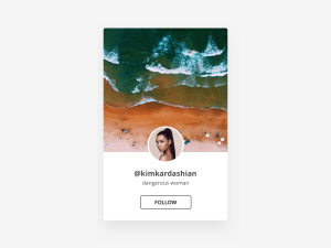 blox_instagram_card_widget